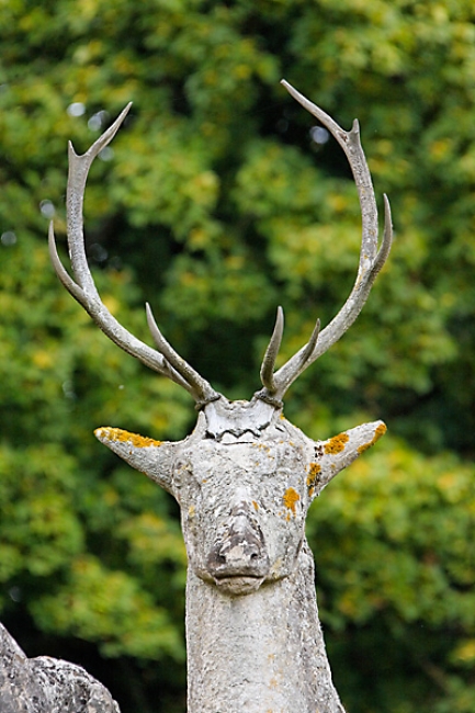 Chateau de Raray-035